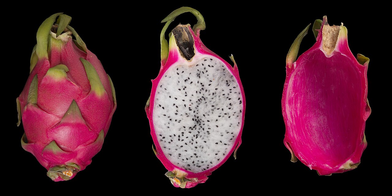 Dragon fruit fruit - representative photo